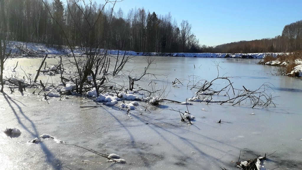 Можно ловить Ротанов.