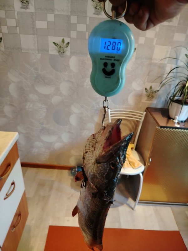 Щучка