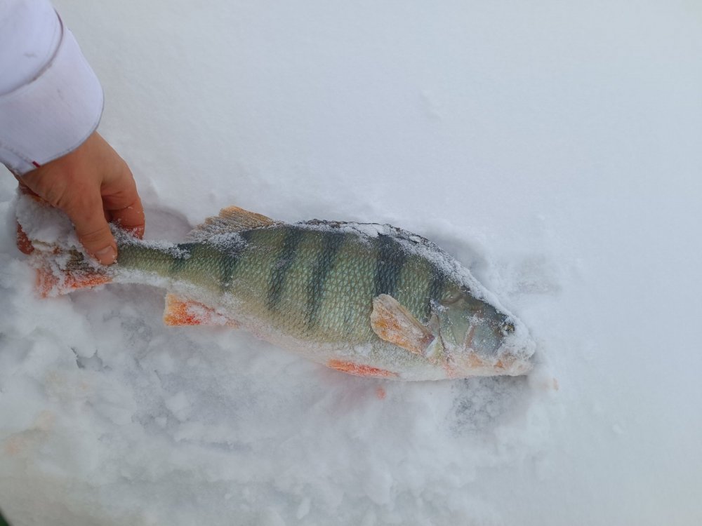 Море, 31км