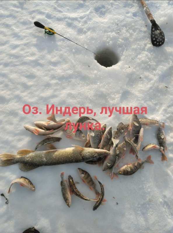 Нормальная рыбалка.