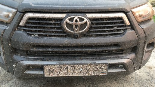 Есть ли в томской тайге гризли (?),  или про поиски трофейной щуки
