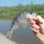 Fishing154
