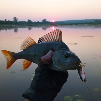 Доброе утро!