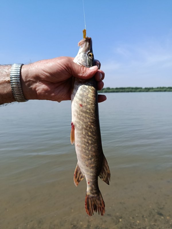 Городская