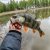 HunterFish