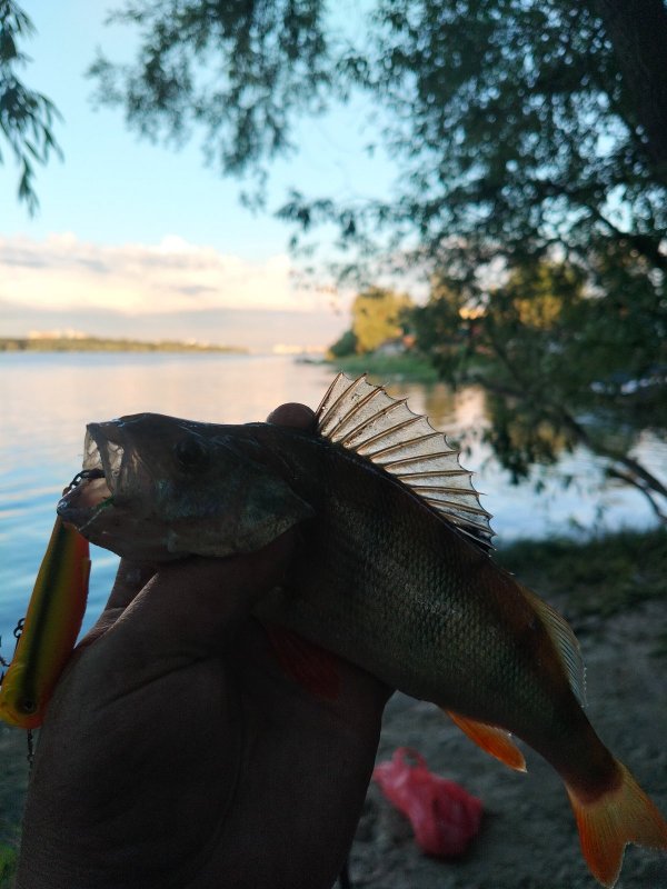Закатный.