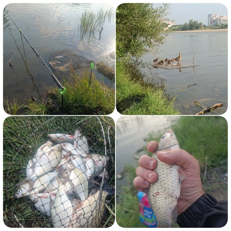 Вечёрка на Юго-западном котловане.