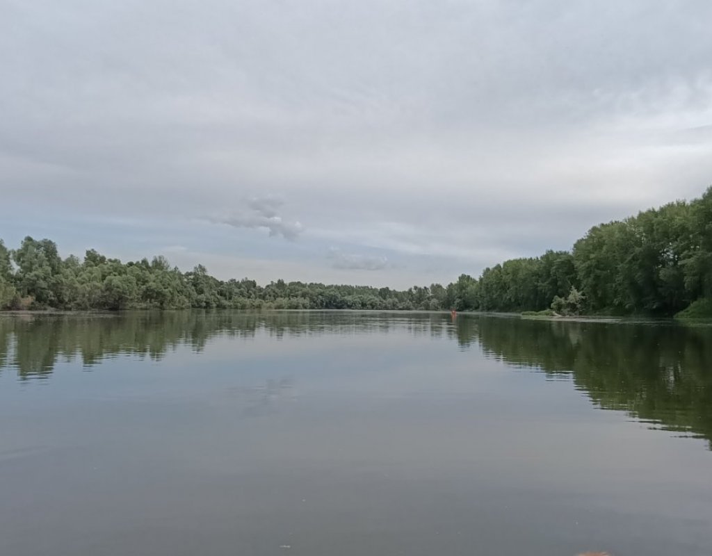 Прогулка на веслах.