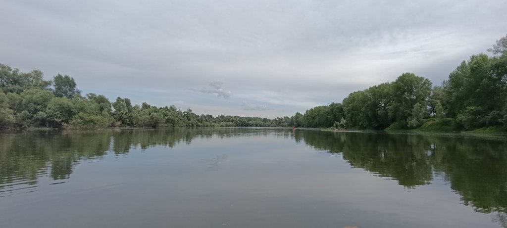 Прогулка на веслах.