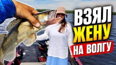 Взял жену на волгу — и не пожалел! Окунь, судак, щука за один день