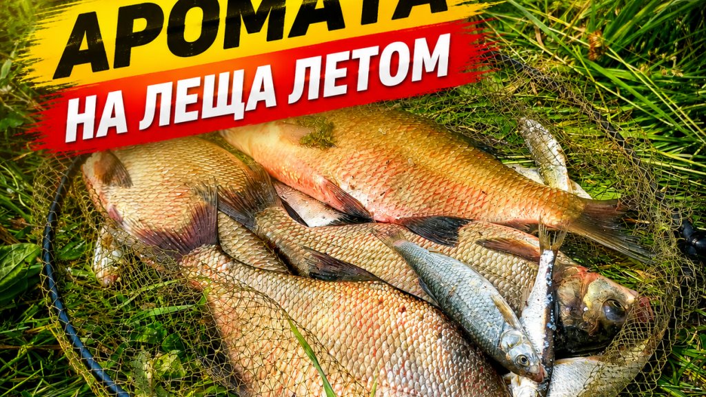 Топ-3 аромата на леща летом