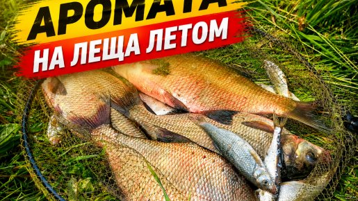 Топ-3 аромата на леща летом