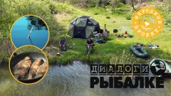 Рыбалка на разливах Оби любимая с детства. Херабуна vs Поплавок