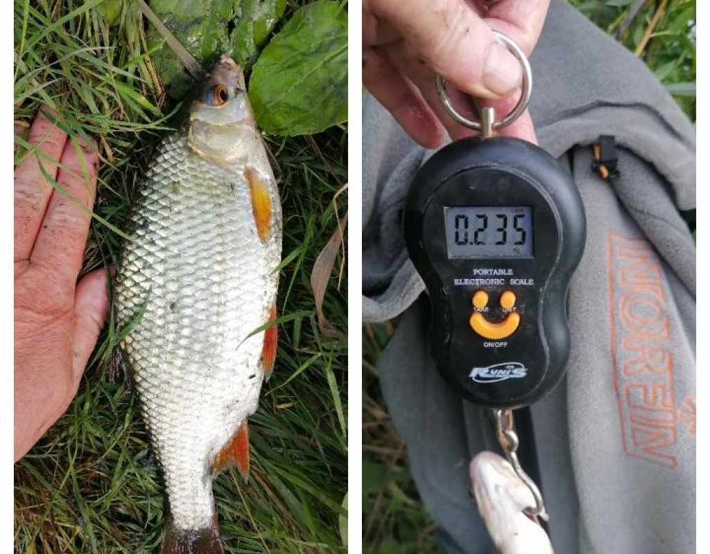 Почти морская. И главное за огородами.