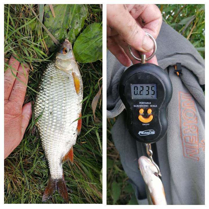 Почти морская. И главное за огородами.