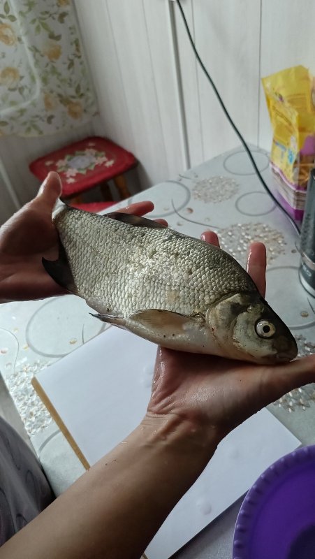 Улов дома