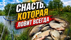 На эту снасть клюет даже при самом капризном клёве. Рыбалка на реке Дон 2026