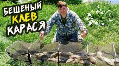 Такой рыбалки не ждал! Карась на фидер устроил беспредел на реке
