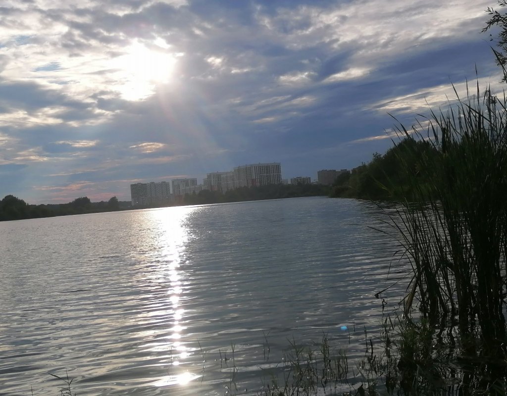 На болоте клево.