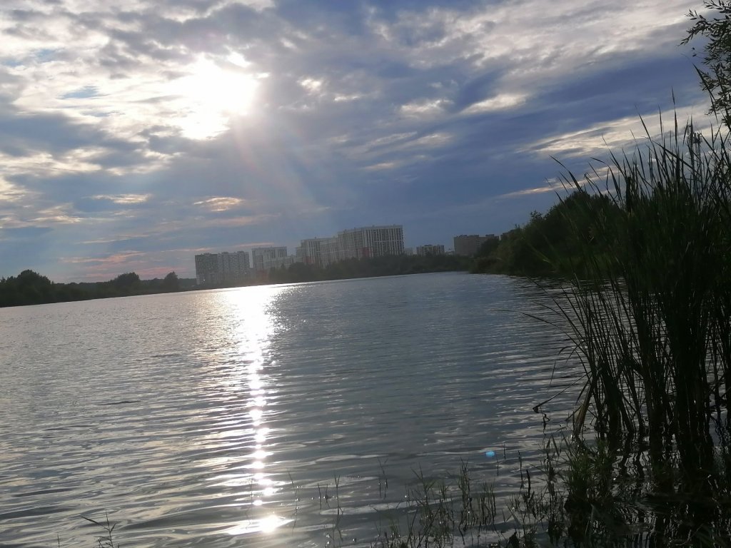 На болоте клево.