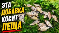Эта добавка нравится лещу. Добавил  в корм и лещ встал на точку. Рыбалка на фидер на реке.
