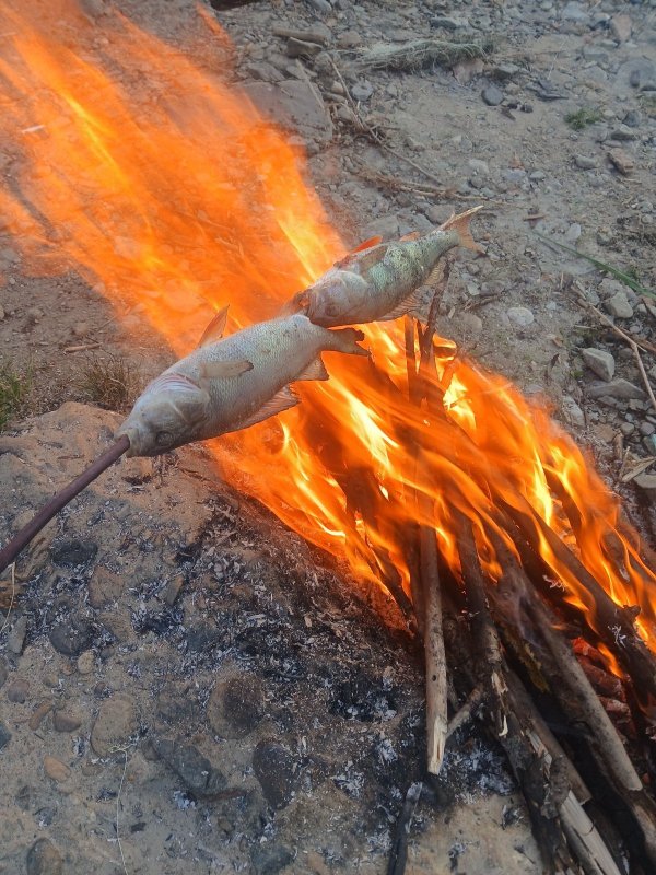 Водозабор