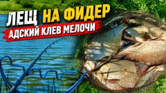 Когда мелочь атакует каждый заброс, а ты пришел за лещем. Рыбалка на фидер на реке Быстрая Сосна