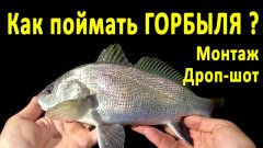 Как поймать горбыля на спиннинг? Уловистый дроп-шот на Черном море
