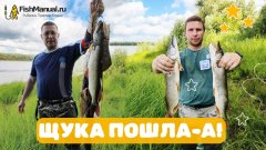 Щука пошла! Береговая рыбалка на Иртыше!