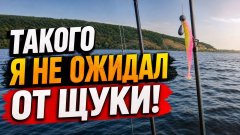 Такого я не ожидал от щуки! Рыбалка перед штормом на волге