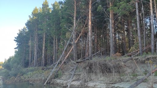 Щука под ярами и корягами (сводка по июлю-началу августа)