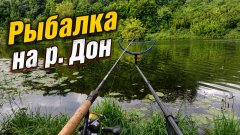 Рыбалка на фидер на реке Дон: Живописная природа и Капризы подлещика