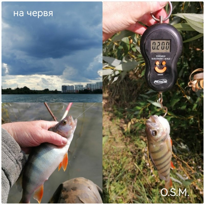 Поплавочка рулит.
