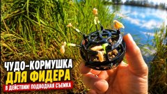 Чудо - кормушка для фидера в деле! Подводная съемка