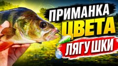 Приманка цвета лягушки спасла рыбалку. Первый ремонт в лодке "салют 480"