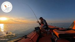Рыбачим на Обском водохранилище!Окунь продолжает клевать! 🎣