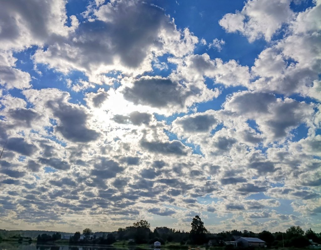 Просто утро