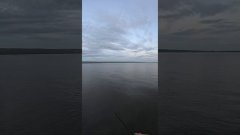 Ловня судаков и окуней