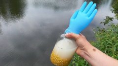 Закормил Пьяной Кукурузой! Результат удивил! Подводная съемка
