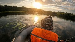 Судак. Щука. Разведка жерлиц в августе. Вода кипит от рыбы