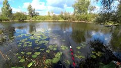 Осенний карась на Херабуну в кувшинках. Рыбалка 2026