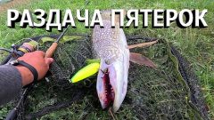 Зубастые бестии против моих воблеров. Кто кого? Раздача крупной щуки на топвотер!