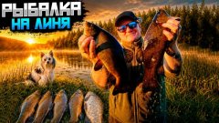 Ловля линя: монтаж снасти, прикормка и тактика — полный разбор. Трофейный линь