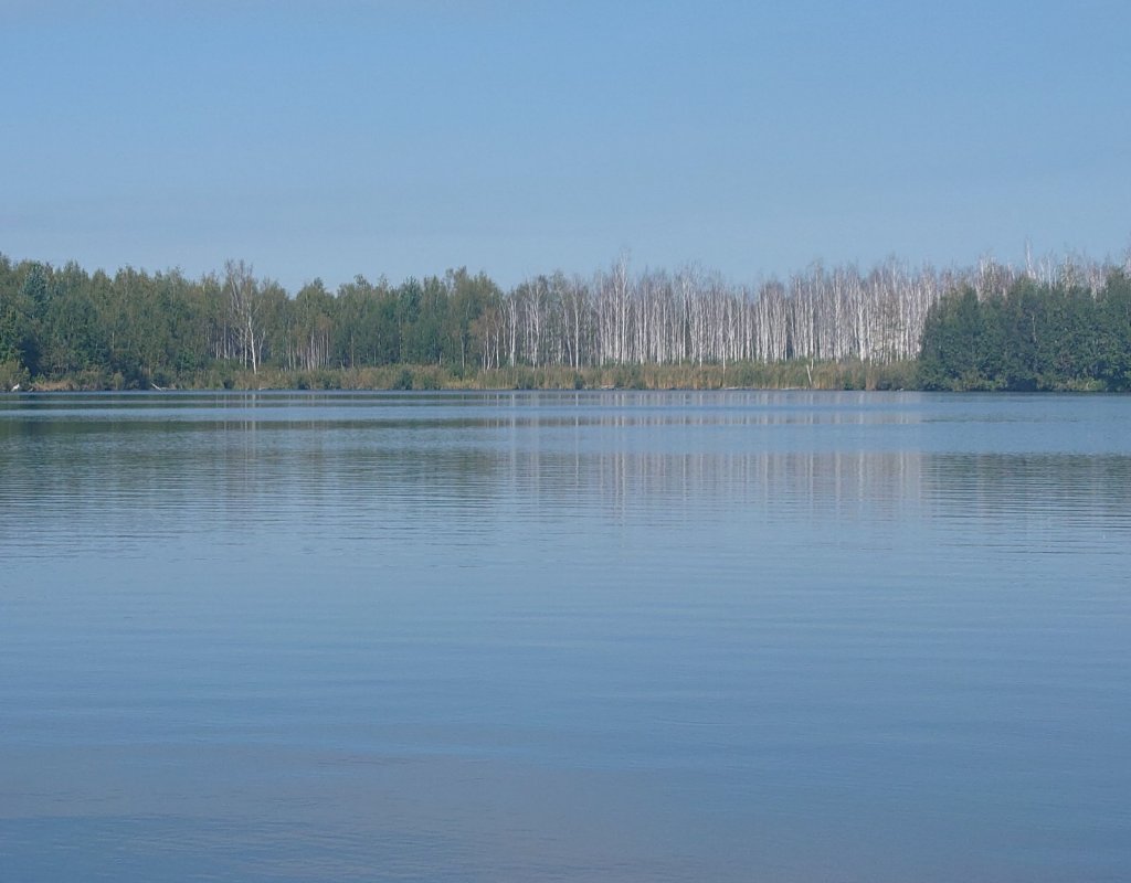 Сезон 2026 фото с рыбалок