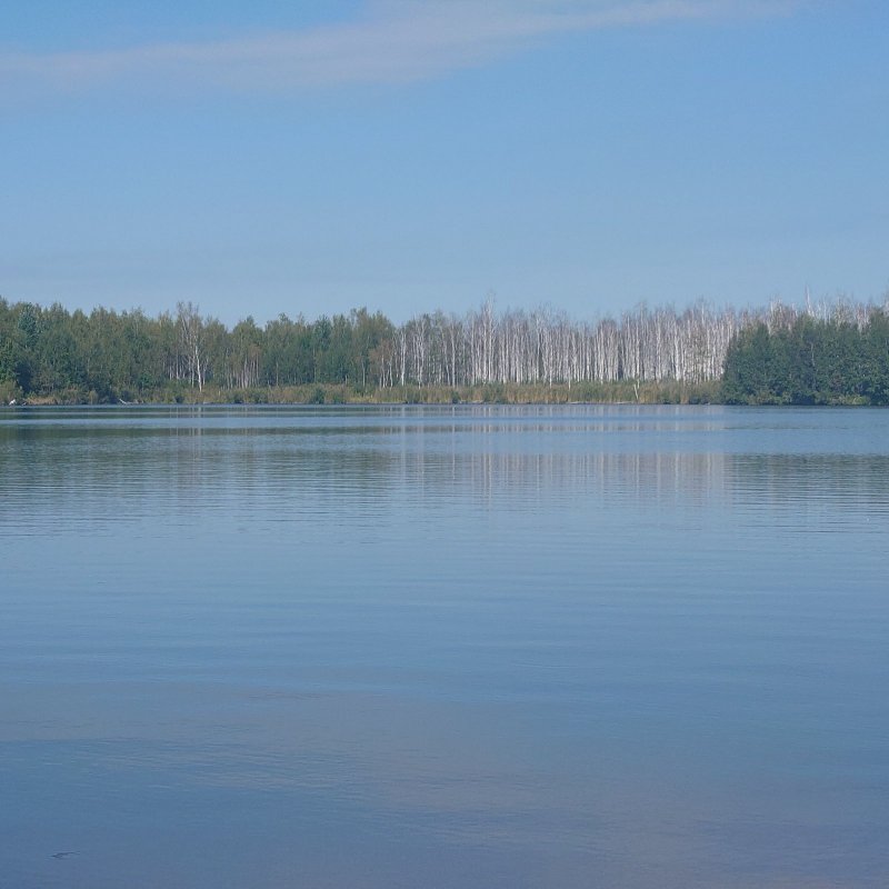 Сезон 2026 фото с рыбалок