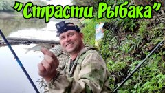 Рыбацкие страсти. Рогачи. Косули чуть не затоптали. Крупняк на поплавок.