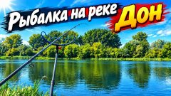 Рыбалка на фидер на Дону в конце августа: Туманище, Донские лещи и назойливый бирюк