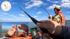 Судак начал просыпаться|Окунь ещё в стаях|Обское водохранилище! 🎣