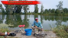 Ловля плотвы на матч