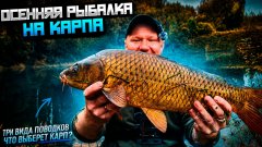 Осенний клёв карпа: где искать и на что ловить.  Какой поводок на карпа выбрать осенью
